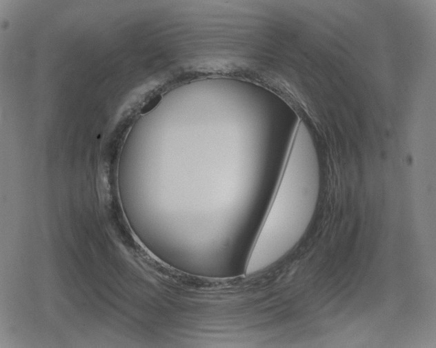 X0000080760688200612150934