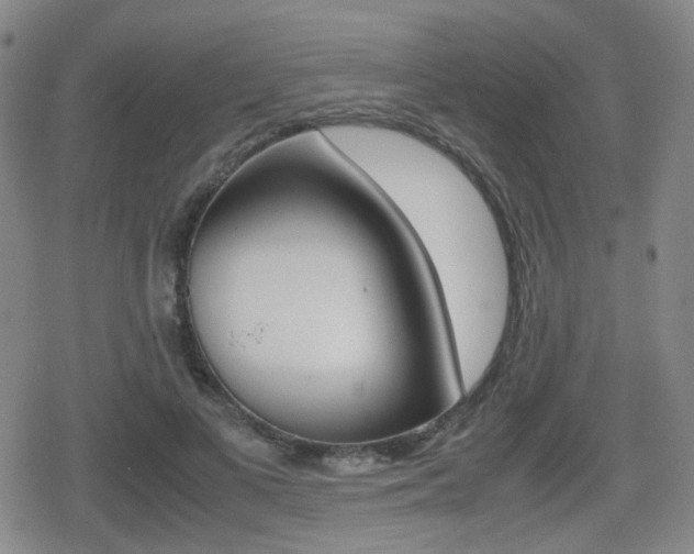 X0000080760693200612150934