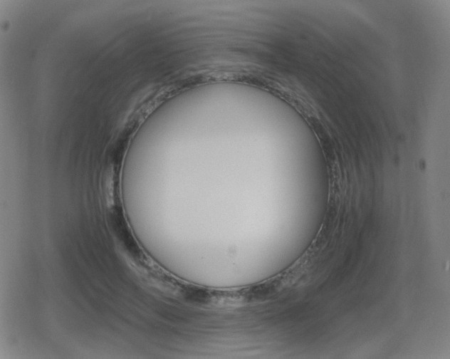 X0000080760694200612150934