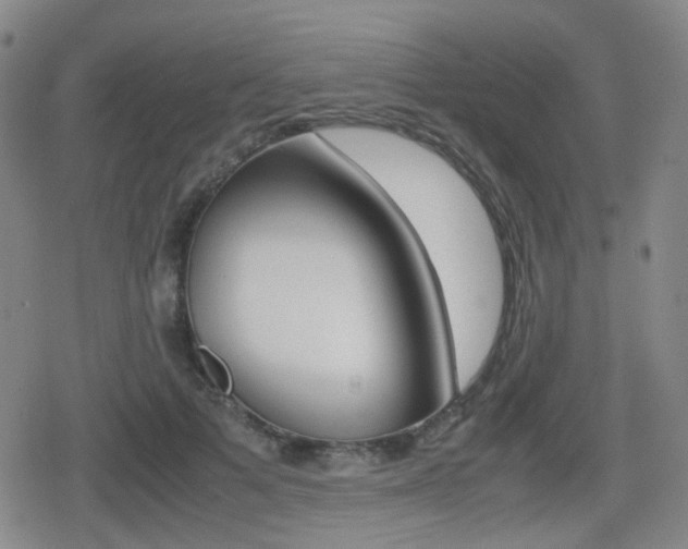 X0000080760697200612150934
