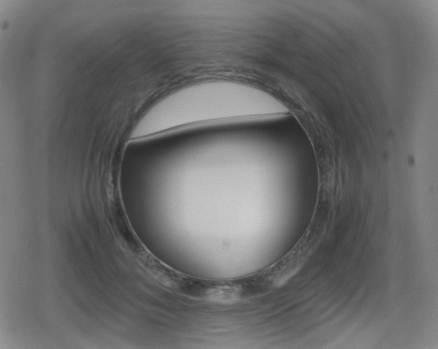 X0000080760700200612150934