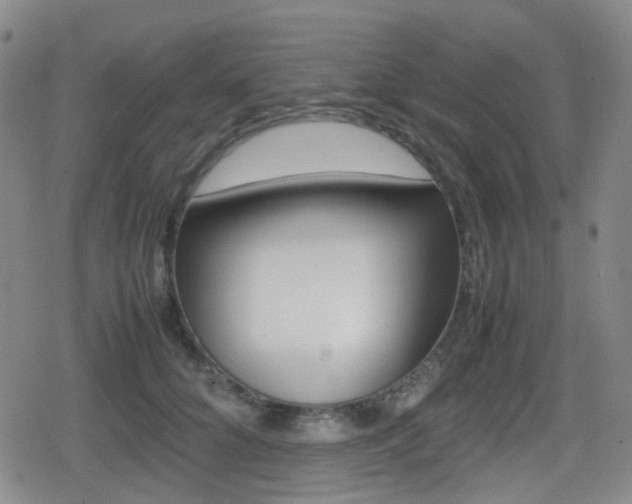 X0000080760704200612150934