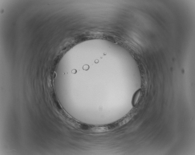X0000080760711200612150934