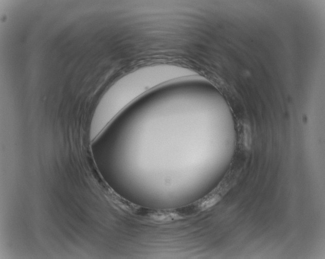 X0000080760712200612150934