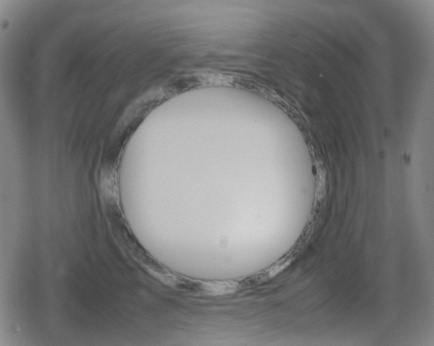 X0000080760713200612150934