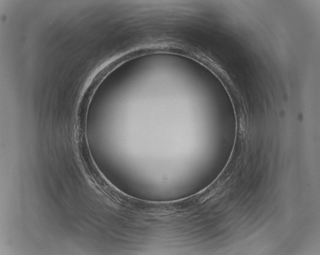 X0000080760724200612150933