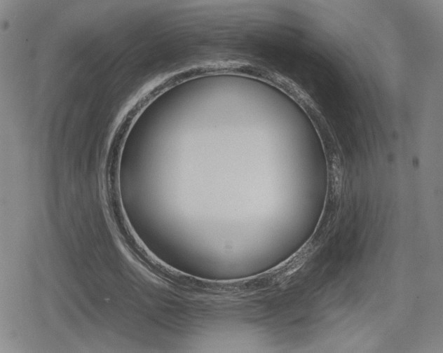 X0000080760726200612150933