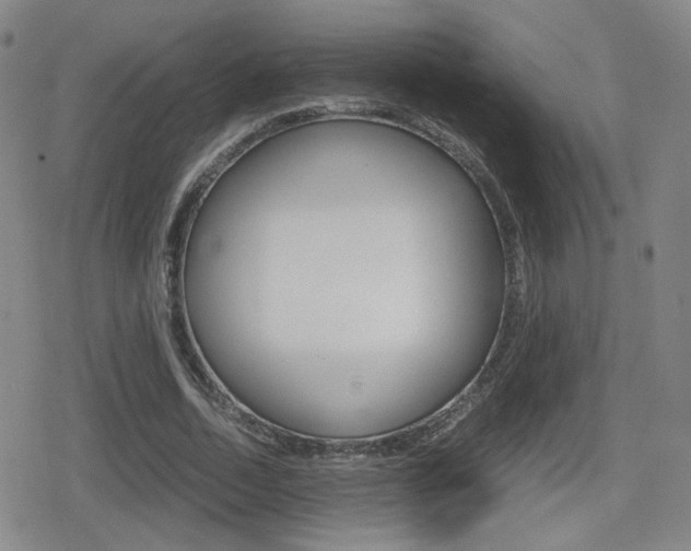 X0000080760730200612150933