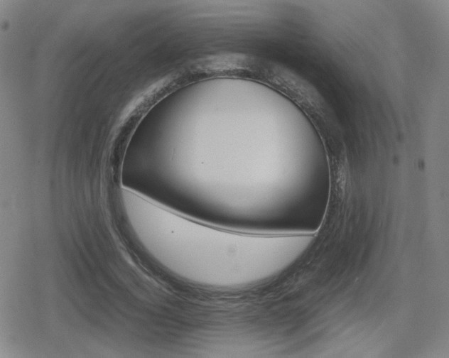 X0000080760732200612150933