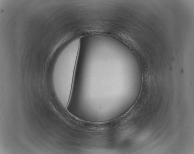X0000080760735200612150933