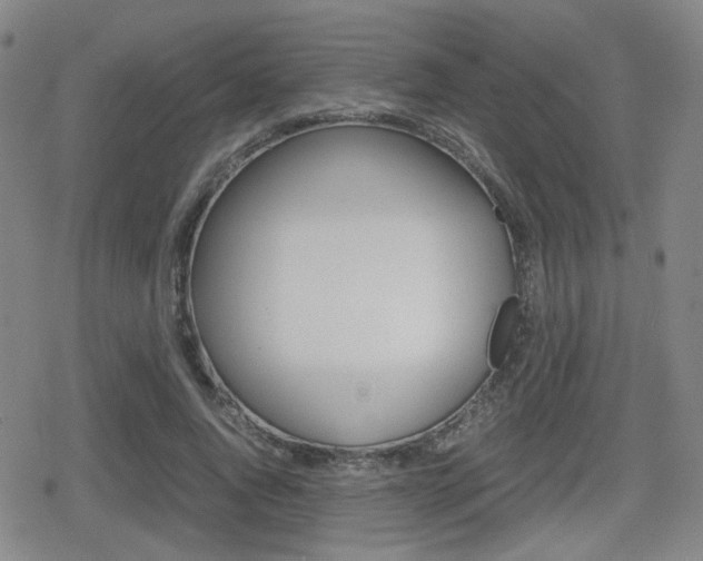 X0000080760736200612150933