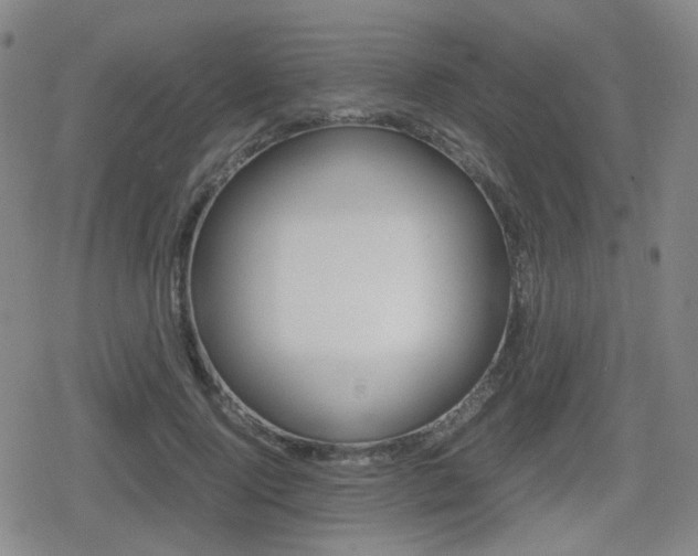 X0000080760740200612150933