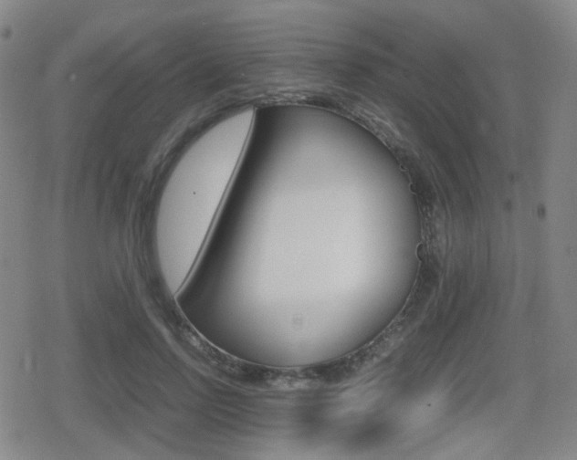 X0000080760742200612150933