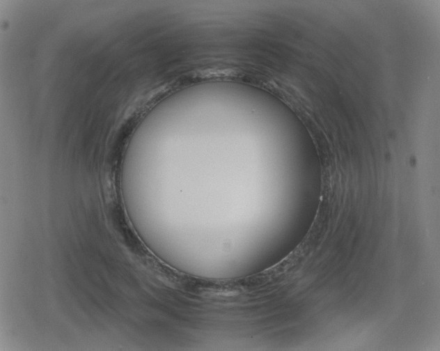 X0000080760743200612150933