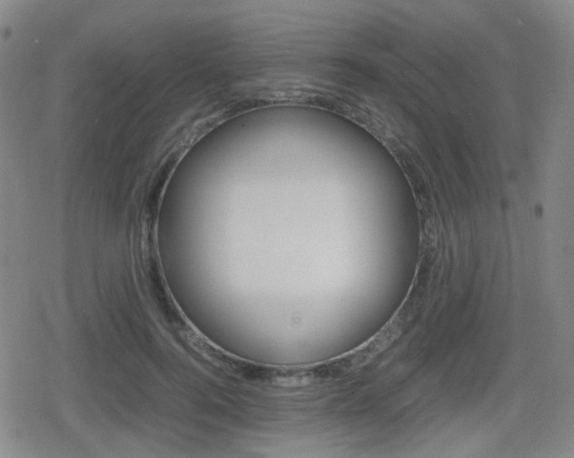 X0000080760744200612150933