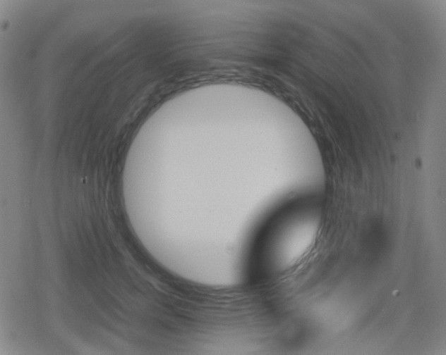 X0000080760750200612150933