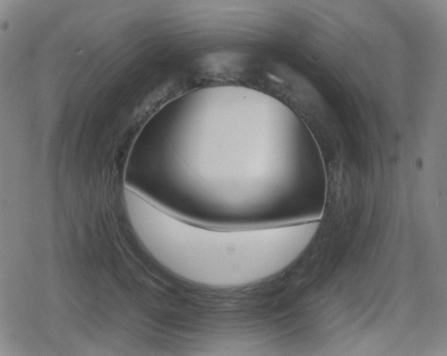 X0000080760752200612150933