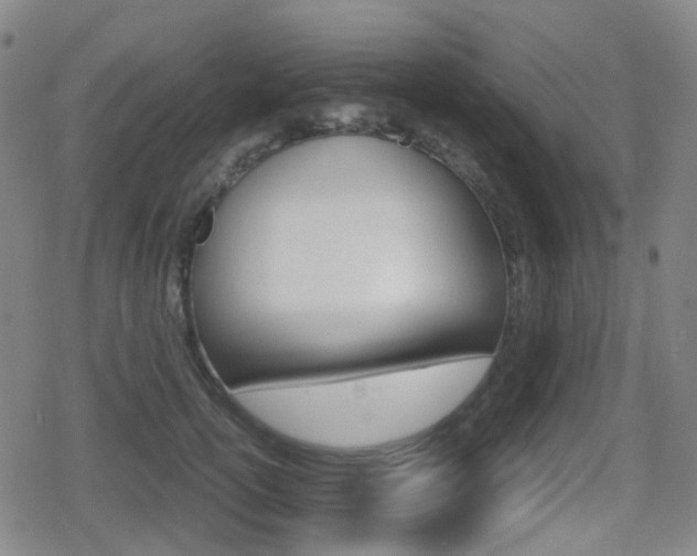 X0000080760754200612150933