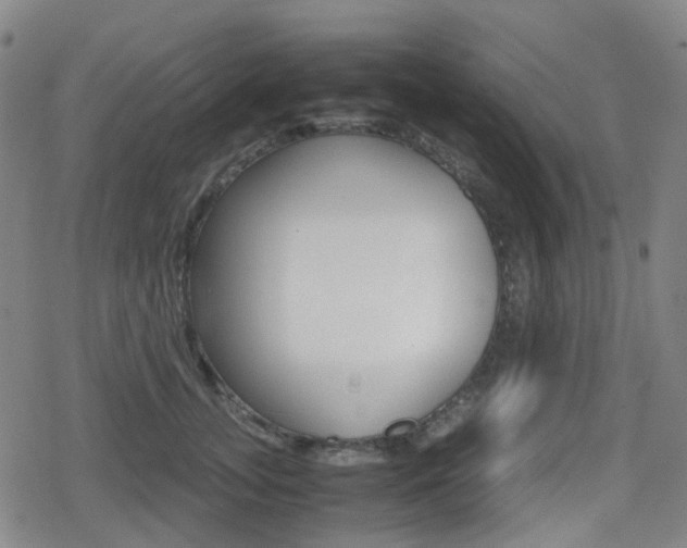 X0000080760755200612150933