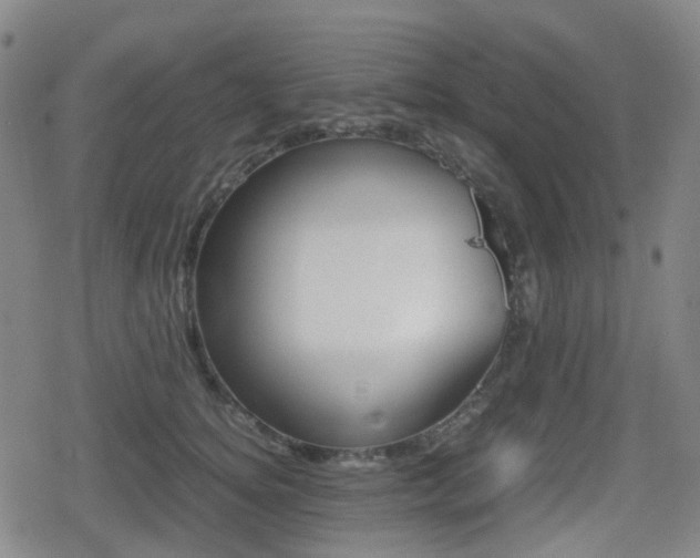 X0000080760756200612150934