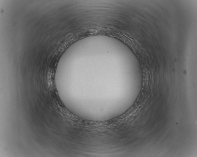X0000080760770200612150933