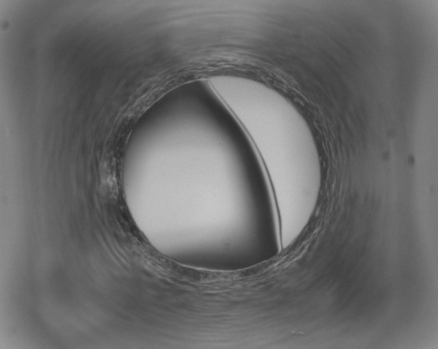 X0000080760771200612150933