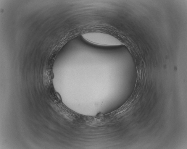 X0000080760772200612150933