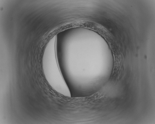 X0000080760773200612150933