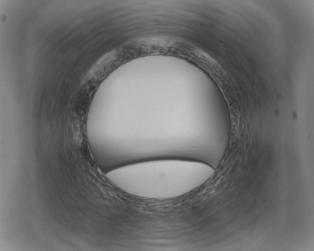 X0000080760774200612150933