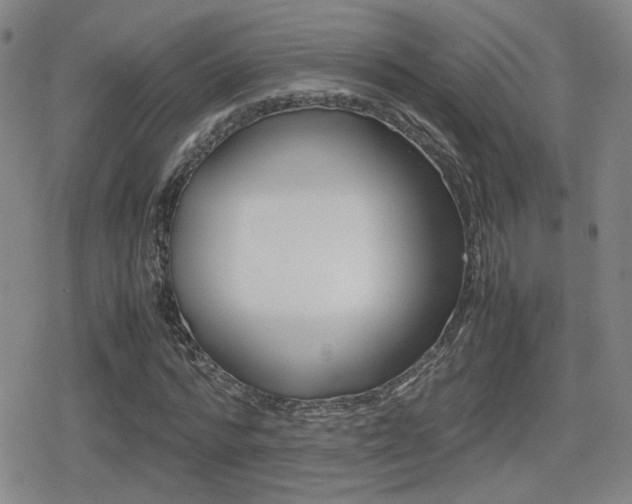 X0000080760776200612150933