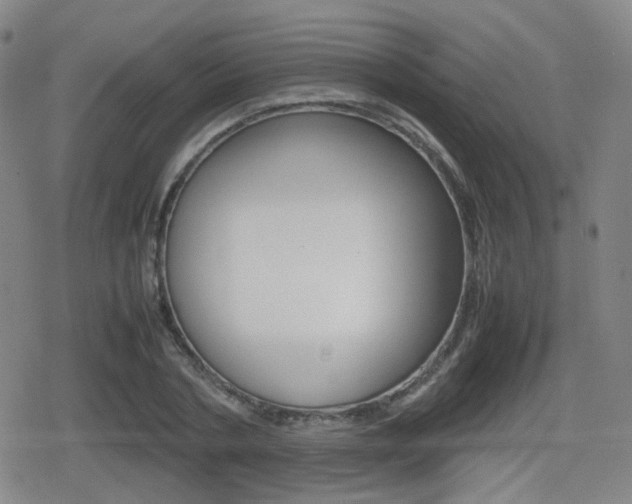 X0000080760786200612150933