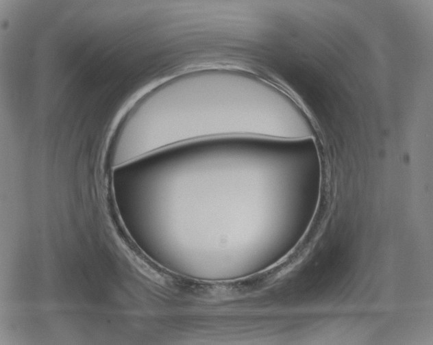 X0000080760787200612150933
