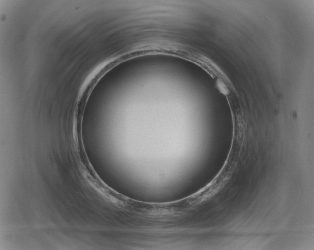X0000080760788200612150933