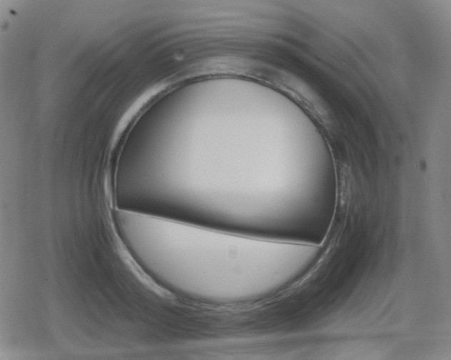 X0000080760796200612150932