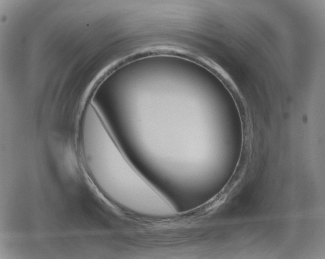 X0000080760799200612150932