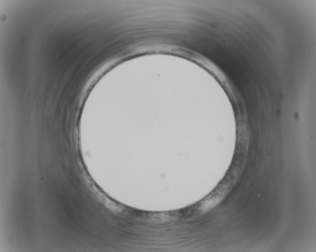 X0000080760807200612150932