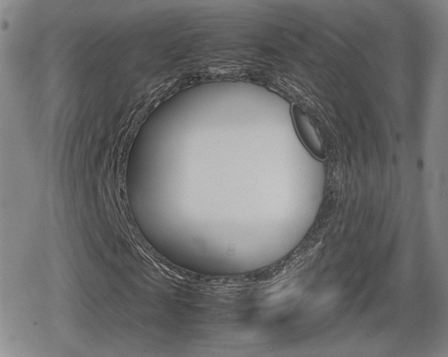X0000080760817200612150931