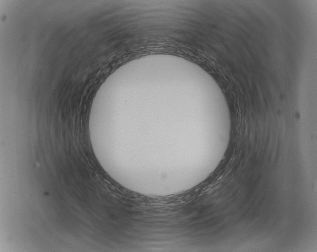 X0000080760818200612150931