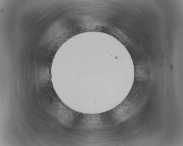 X0000080760820200612150931