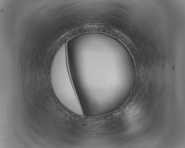 X0000080760821200612150931