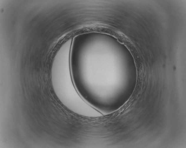 X0000080760822200612150931