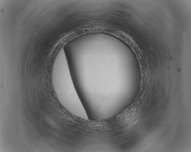 X0000080760823200612150931