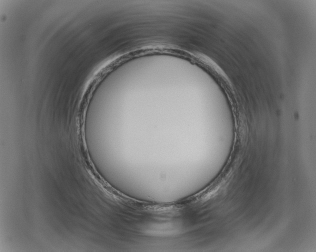 X0000080760831200612150932
