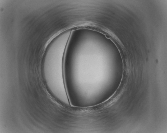 X0000080760834200612150932