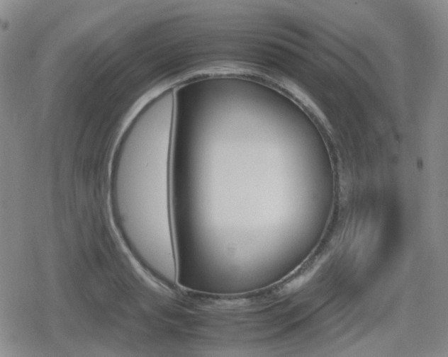 X0000080760845200612150932