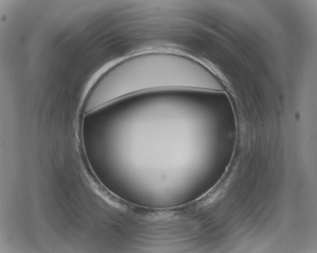 X0000080760846200612150932