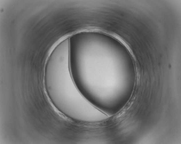 X0000080760861200612150932