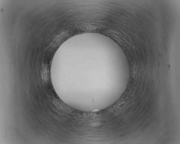 X0000080760866200612150931