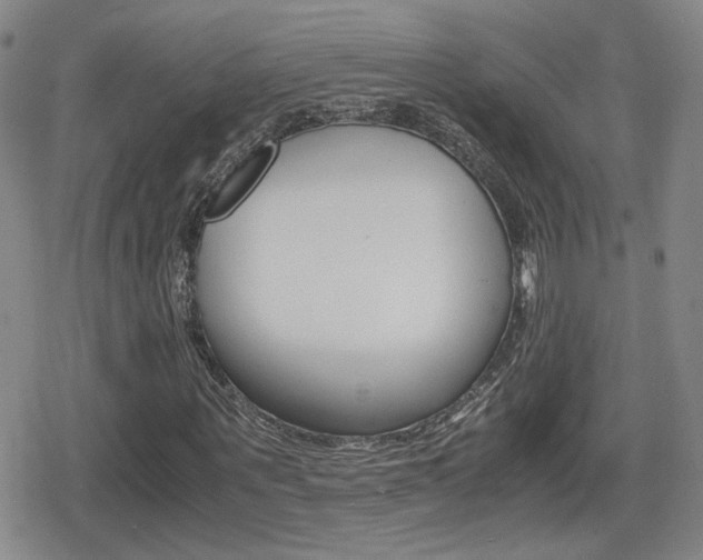 X0000080760867200612150931