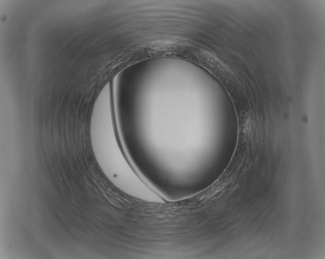 X0000080760868200612150931